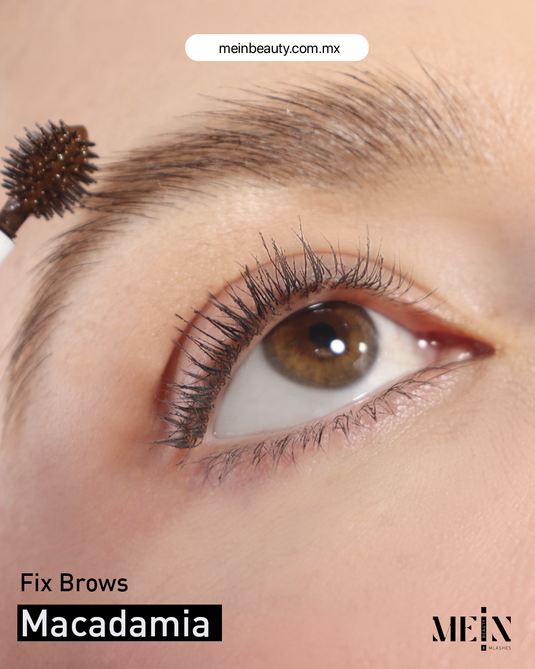 Fix Brows