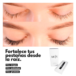 The Lash Grow Collection