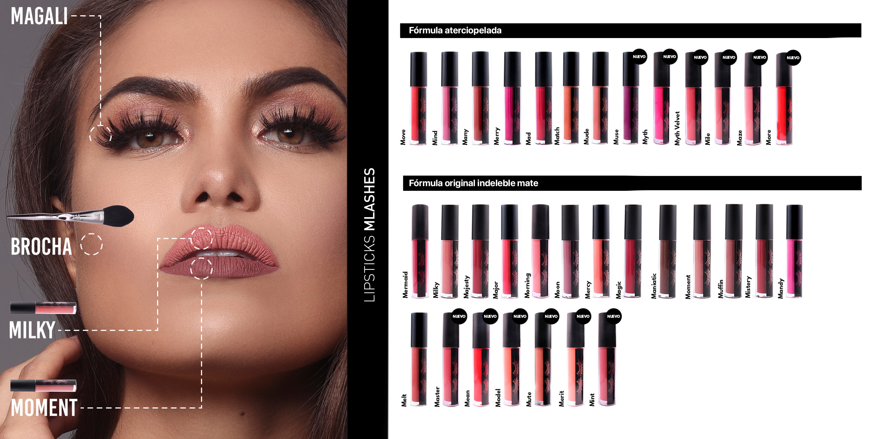 The Color Collection